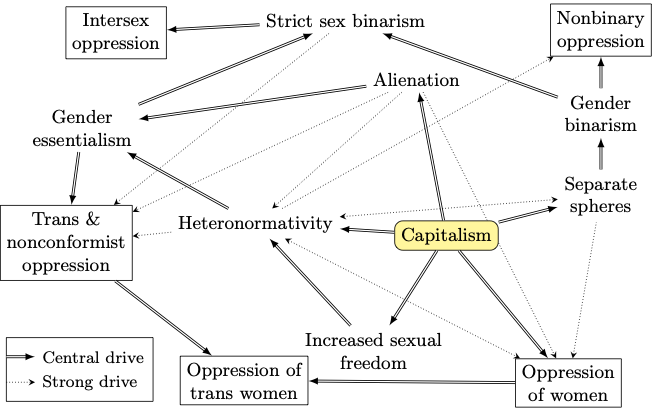 Schematic of some key causal relations behind different forms of gendered oppression.