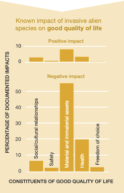 Known impacts