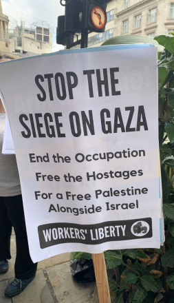 Placard saying "Stop the Siege on Gaza, End the Occupation, Free the Hostages, For a Free Palestine Alongside Israel"