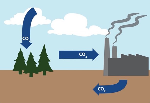 Ipcc Cd R Why scientists say CDR is necessary | Workers' Liberty