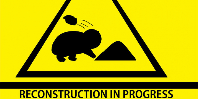 reconstruction