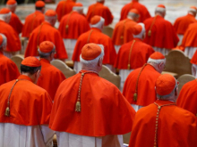 cardinals