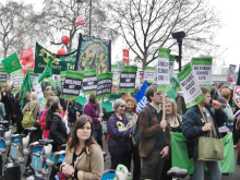 Green Party 