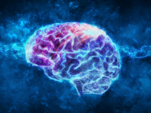 Brain power