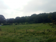 Woodcraft Folk campsite near Haslemere
