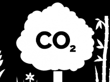 CO2 cartoon