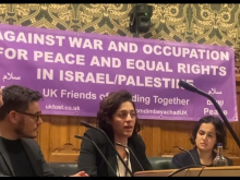 Rula Daood speaking in the UK Parliament