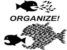 organise