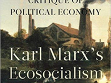 ecosocialism
