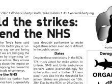 Health Strike Bulletin #1: Build the strikes: Defend the NHS