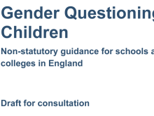Draft guidance
