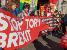 tory brexit