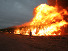 cane fire