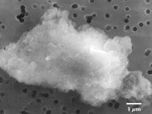Dust particle 