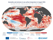 Sea surface temperatures map