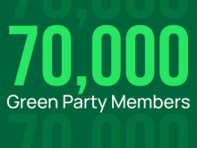 greens