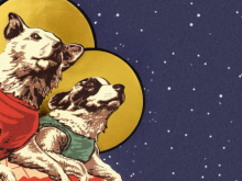 Space dogs