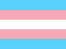 Trans rights flag