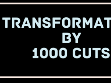 University cuts