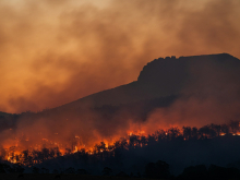 Wildfire