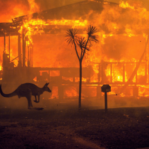 Australia: fossil-fuel export profits or climate action? - Vimarsana News