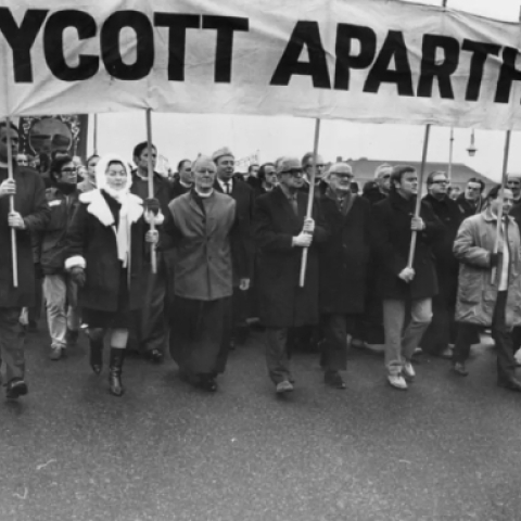Is Israel like apartheid South Africa? - Vimarsana News