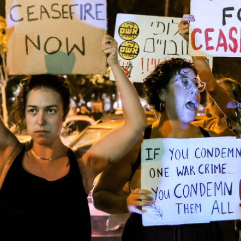 Full ceasefire, peace, two states! - Vimarsana News