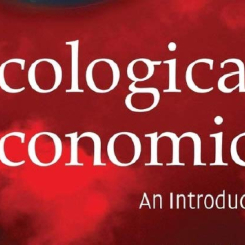 Marxism against ecological economics - Vimarsana News