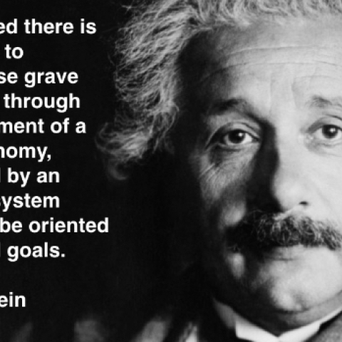 Albert Einstein as scientist and socialist - Vimarsana News