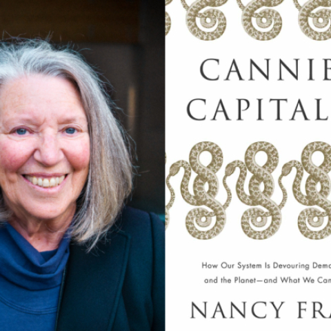 A critical eye on Nancy Fraser - Vimarsana News