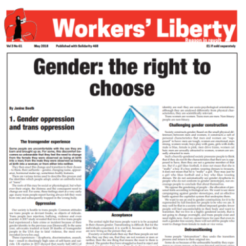 Gender: the right to chose - Vimarsana News
