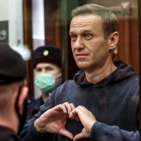 Russia's opposition and Navalny - Vimarsana News