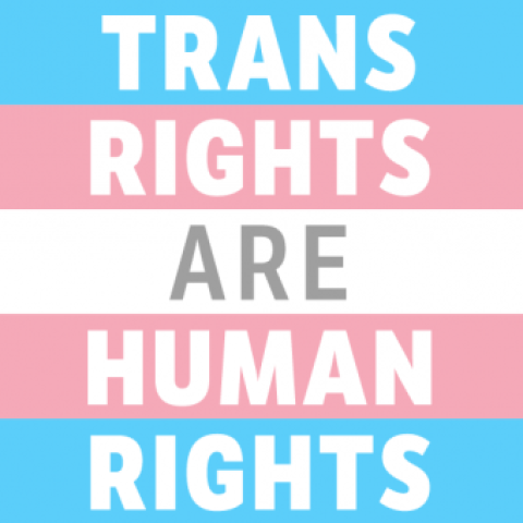 Workers' Liberty on trans rights - Vimarsana News