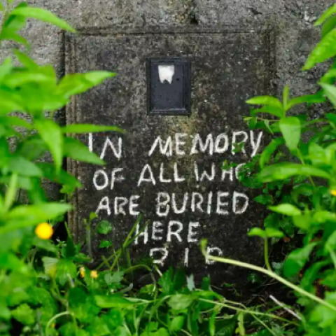 The story of Ireland's hidden mass graves - Vimarsana News