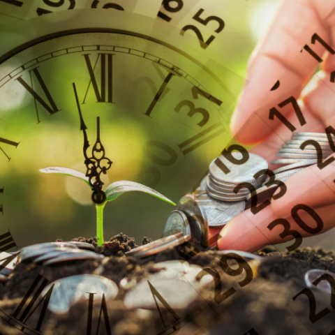 Economy, life, and caring - Vimarsana News