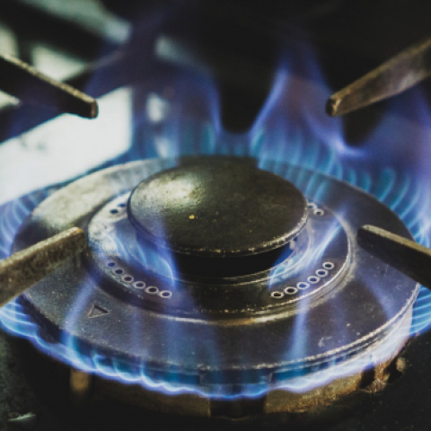 Gas is not green - Vimarsana News