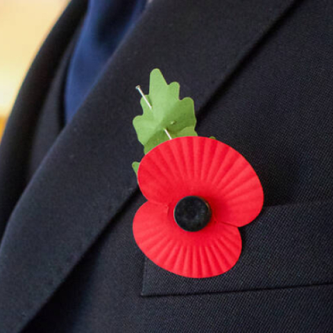 Why the poppy is wrong - Vimarsana News