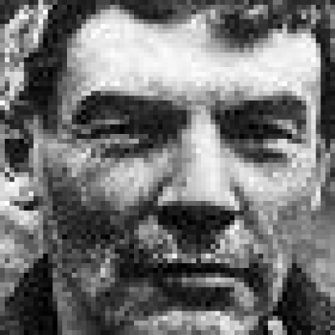 Lenin on the collapse of the Second International - Vimarsana News