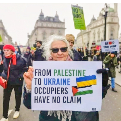 Ukraine, Palestine: similarities, differences - Vimarsana News