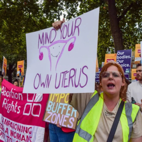 Pro-choice plans for 2 September - Vimarsana News