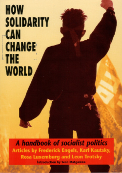 Book Cover "How Solidarity Can Change the World" to the left of a figure standing defiantly with his fist in the air.