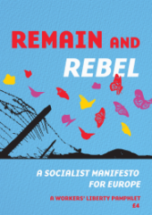 Pamphlet Cover "Remain and Rebel" on a blue background above multi-coloured butterflies over the torn down barbed wire fences of "Fortress Europe"