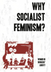 Book Cover "Why Socialist Feminism?" in black text on a white background above "Capitalism also Depends on Domestic Labour" cartoon depicting women's social reproductive role in society, originally from See Red Women's Workshop.
