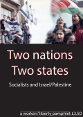 Pamphlet Cover "Two Nations Two States" under a side by side of people waving Israeli and Palestinian flags.