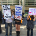 placards