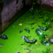 dirty water