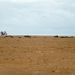 Western Sahara
