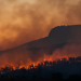 Wildfire